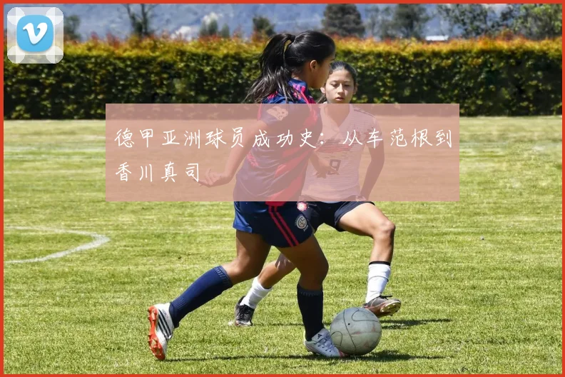 德甲亚洲球员成功史：从车范根到香川真司