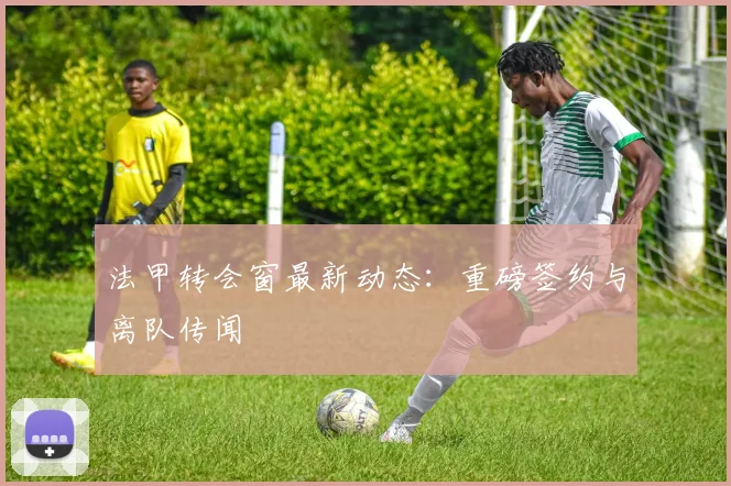 法甲转会窗最新动态：重磅签约与离队传闻