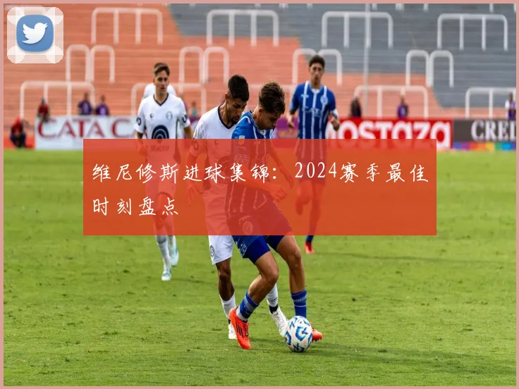 维尼修斯进球集锦：2024赛季最佳时刻盘点
