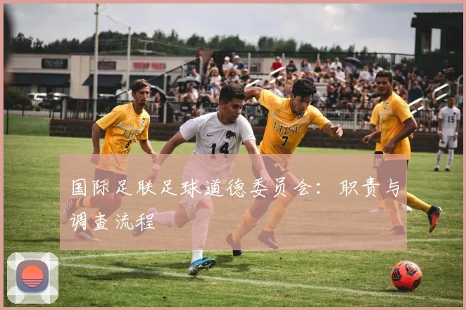 国际足联足球道德委员会：职责与调查流程